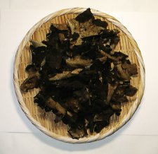 IWATAKE1.JPG - 13,242BYTES