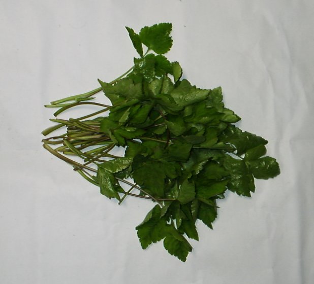 MITUPA.JPG - 42,891BYTES