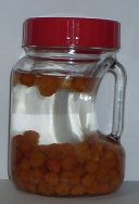 MOMIJI1.JPG - 5,590BYTES